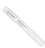 Ledvance LED Buis T8 Value (UN) High Output 8W 800lm - 830 Warm Wit | 60cm - Vervangt 18W